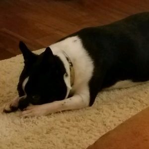 Meet your Posher, Cindy